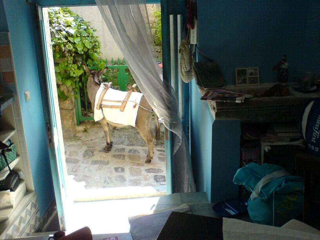 Blue Bench Krk Apartment Veglia Cameră foto